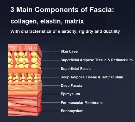 충전 가능한 IASTM 몸 통증 완화 스크래핑 도구 가열 된 패시아 칼 335g 내구성